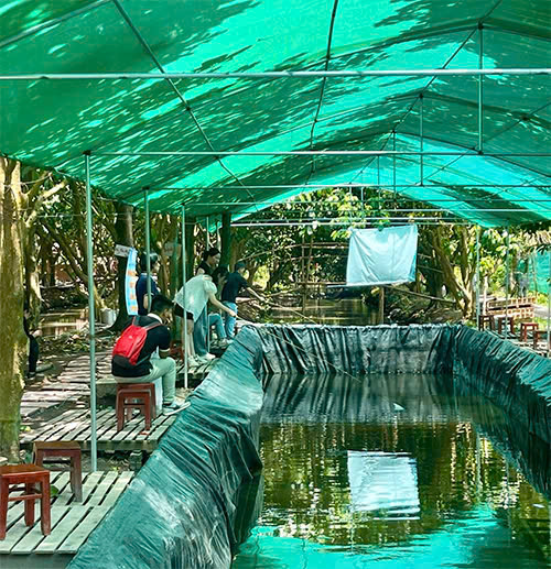 Món quà từ hiên nhiên - Du lịch Tuấn Tường