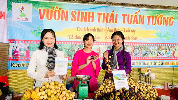 Ngày Hội Du Lịch Sinh Thái Phong Điền Lần XI Năm 2024 - Du lịch Tuấn Tường