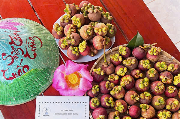 Lợi ích cho sức khỏe của măng cụt - Du lịch Tuấn Tường