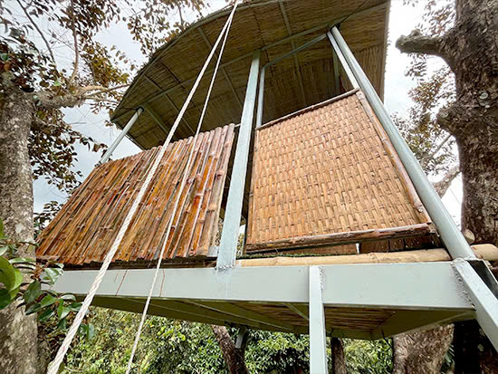 Nhà trên cây - Du lịch Tuấn Tường