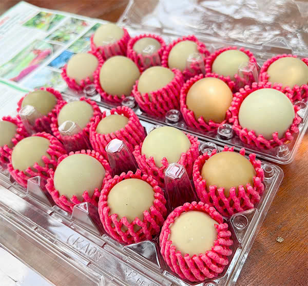 Trứng chim trĩ - Du Lịch Tuấn Tường