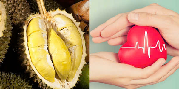 Lợi ích của sầu riêng đối với sức khỏe - Du lịch Tuấn Tường