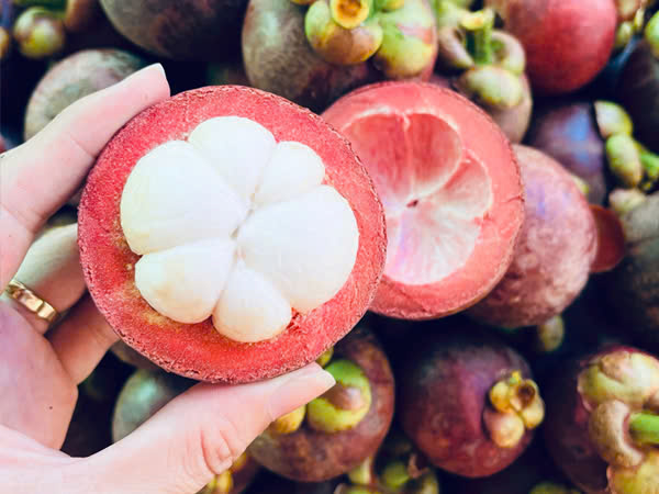 Lợi ích cho sức khỏe của măng cụt - Du lịch Tuấn Tường