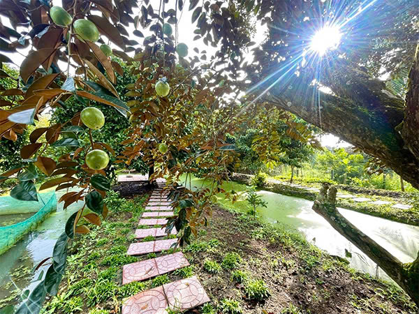 Lịch sử phát triển của Tuấn Tường - Du lịch Tuấn Tường