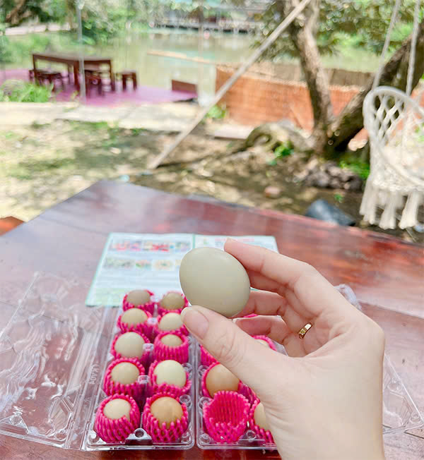 Trứng chim trĩ - Du Lịch Tuấn Tường