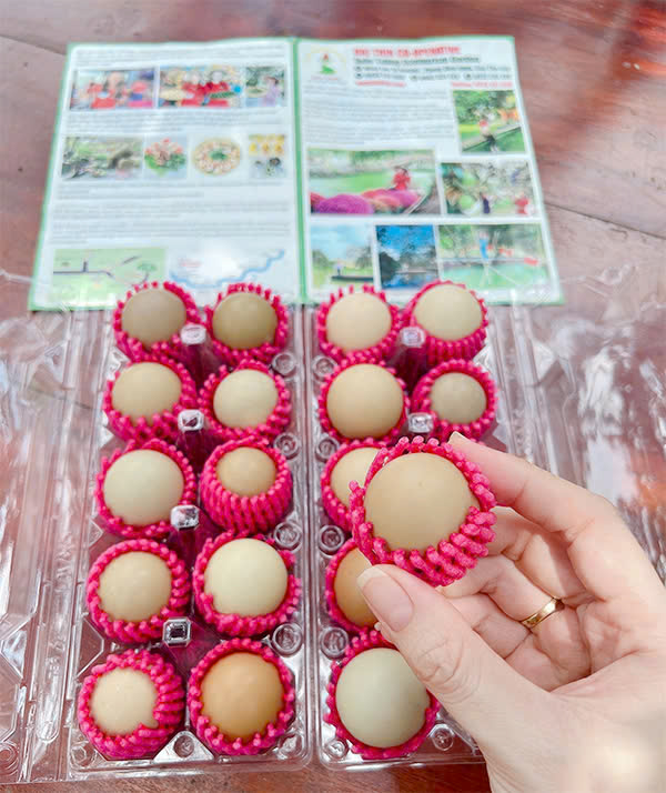Trứng chim trĩ - Du Lịch Tuấn Tường