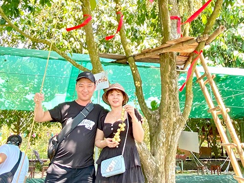 Hái dâu Hạ Châu - Khu du lịch Tuấn Tường