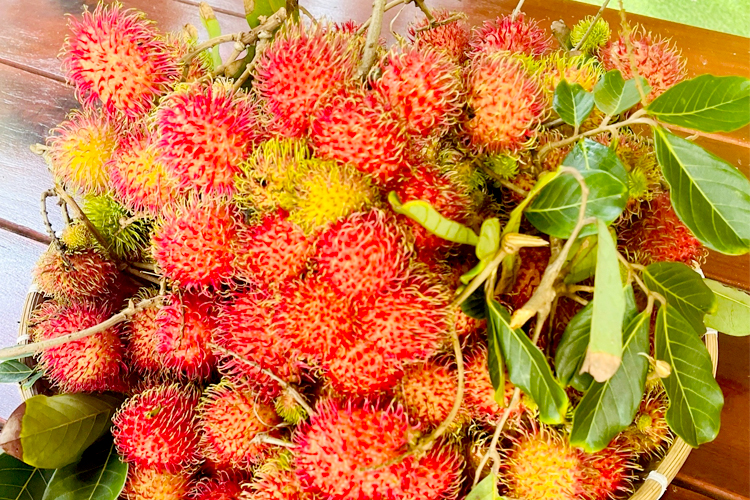 Hương vị trái chôm chôm