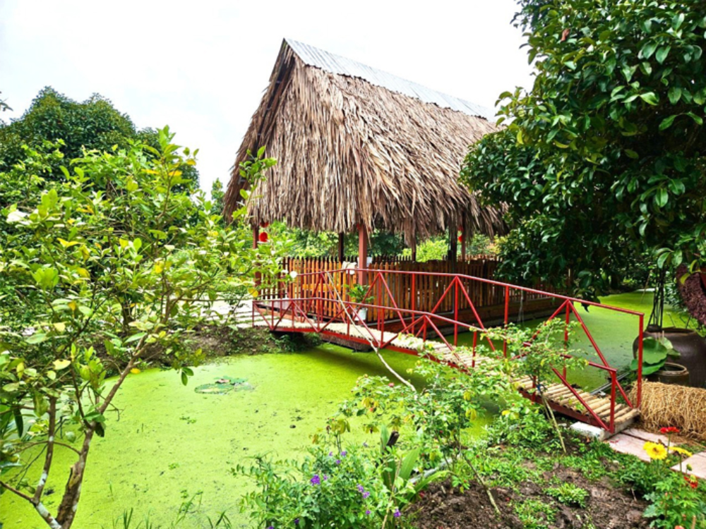 Không gian hoà mình thiên nhiên của Tuấn Tường 