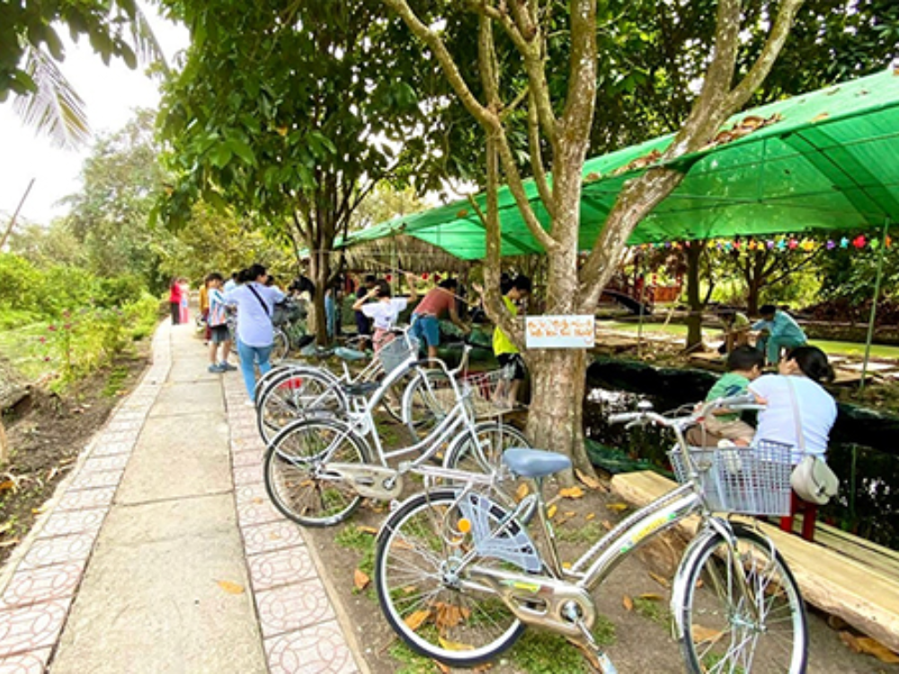 Câu Tôm Giải Trí – Thư Giãn Giữa Không Gian Miệt Vườn