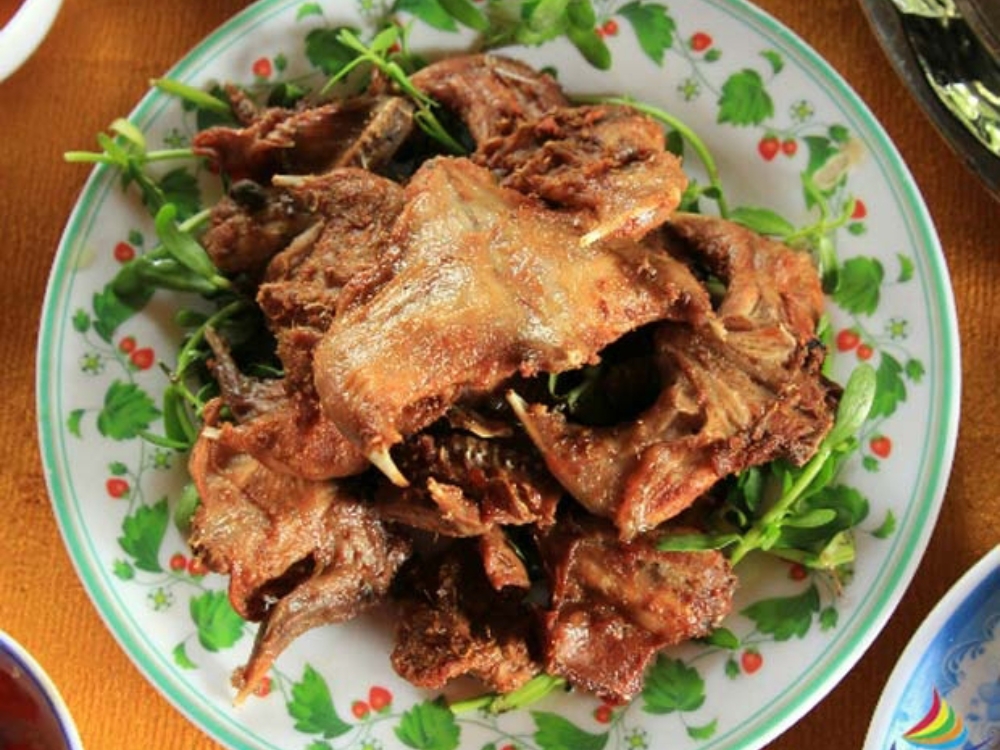 chuột đồng Miền Tây