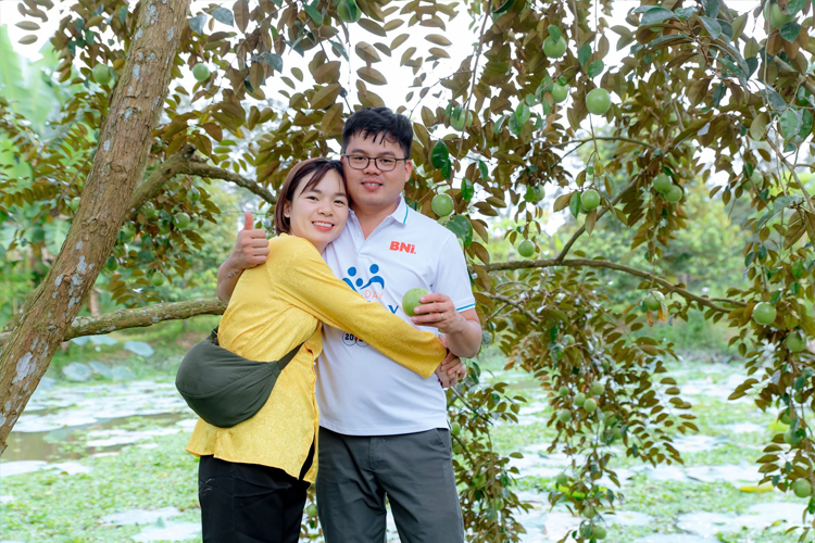 Mùa vụ của vú sữa lò rèn