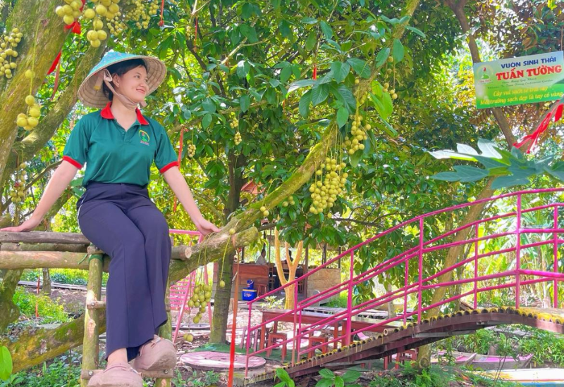 Dâu Hạ Châu là đặc sản ở đâu?